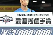 年俸2000万円の万波がオールスター2試合で500万円稼いだの凄くない？