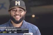 【ヒロイン】日ハムR.ロドリゲス「今日は谷内さんの日じゃない」