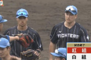 【日ハム紅白戦】紅組が6−4で勝利！江越2安打1HR！野村猛打賞！