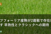 エフフォーリア産駒が2歳戦で存在感示す 早熟性とクラシックへの期待