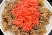 牛丼に紅生姜って本当に合うと思って食ってんのか？ ＆ 牛丼の紅生姜に代わるものないすかねえ