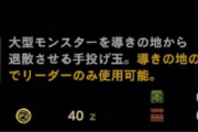 【MHWI】導きの地専用アイテム「退散玉」が実装されたけど何で誰も話題にしないの？【アイスボーン】