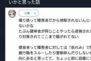 【悲報】識者「医学的に『知的障害者』には電車好きが多いですｗ」
