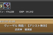 【パズドラ】で、ヴィーザル降臨はなにでいったらいいの？