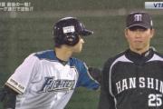 プロ野球史上最も美しいgifって
