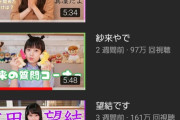 【画像】本田姉妹のYouTube、露骨に人気が割れ始めるｗｗｗｗｗｗｗｗｗ