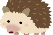 「ハリネズミをレントゲン撮影するときって、どんな姿勢だと思う？」→「想像を超えていた！」