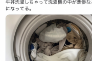 【画像】Twitter民「間違って牛丼洗濯しちゃった」←14.5万いいねｗｗｗｗｗｗｗ