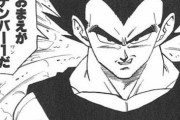 【驚愕】「ドラゴンボール全盛期」にハマらなかった人っているんか？？？