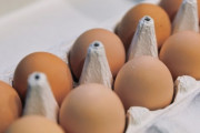 たまごの卸売価格がまた過去最高値を更新…鳥インフルエンザによる採卵鶏の殺処分は今シーズンすでに1300万羽以上で全採卵鶏の約1割に