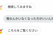 【画像】ワイ、Googleアシスタントとガチンコ喧嘩する?