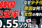 【悲報】韓国ソウルの出生率0.55ｗｗｗｗｗｗｗｗｗｗｗｗ