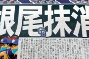 根尾昂（20）1GGBBEF 左E中FニF遊G三G←これで育成失敗扱いされる理由