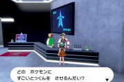 【ポケモン剣盾】ダメかも王冠つくらなかったのはあんまり要望なかったのかな【冠の雪原】
