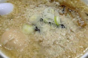 【悲報】他県の友人にラーメン紹介したらなにこれゲロ？とか言われたわwwwwwwwww