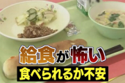 【悲報】最近の小学生『給食が怖い』