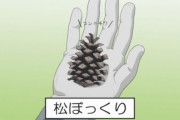 松ぼっくりの漢字表記はちょっと使いづらいらしい