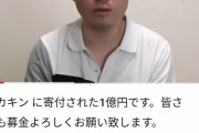 【悲報】ヒカキンが寄付した一億円、とんでもない事になっていた