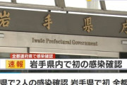 【悲報】岩手､2人が新型コロナに感染　全都道府県で感染確認