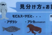 【悲報】水族館さん、生物の見分け方をガンダムで例えてしまう