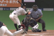 杉谷が死球を受けた時の大田と矢野コーチｗｗｗｗｗｗｗｗ