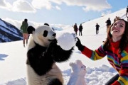 中国人「浙江省寧波市に北海道の雪景色がオープン！」　中国人「なかなかいいじゃん」「ぜひ行ってみたい！」