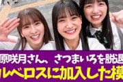 【乃木坂46】菅原咲月さん、さつまいろを脱退しケルベロスに加入した模様
