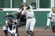 阪神・原口も順調な仕上がり　2回に才木の154キロを左本塁打　猛虎党も大歓声