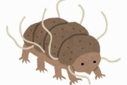 クマムシが放射線で死なない理由、なんか放射線に対して頑丈だからではなかったことが判明