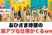 [日向坂46]おひさま待望の激アツな仕事が来るww