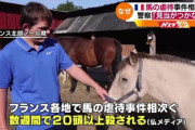 フランス各地で馬の虐待相次ぐ、なぜ？　２０頭以上が殺される