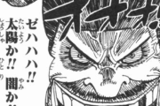 【朗報】ワンピースのラスボス、『海軍大将“白狼”』で確定してしまうｗｗｗｗｗｗｗｗｗｗｗｗ
