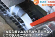 「どこで収入立てればいいの」1トン以上の生乳を“廃棄”　北海道の酪農が“最悪の事態”に