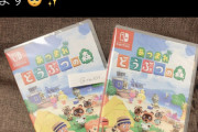 【ゲーム】あつまれどうぶつの森フラゲした人がツイートして炎上