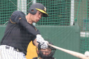 阪神、負ければ「ペナルティー強化トレ」　真剣勝負の紅白初戦に佐藤輝、中野、栄枝3新人出陣