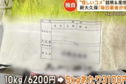 “怪しいコメ”銘柄産地不明　飛び込み営業急増　群馬拠点インド人社長直撃