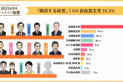 若者が期待する政党「自民党」35.3％「国民民主党」12.1％　「雇用や景気面で安定性」「外交面で成果」