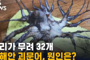 韓国で足が32本ある奇形タコ発見＝韓国ﾈｯﾄ「ついに日本の放射線の影響が…」6/24