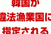 米国「韓国を違法漁業国に指定する」　何をやらかしたんだよ…