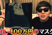 【画像】ヒカキンさん、100万円のマスクを購入してしまうｗｗｗｗｗｗ