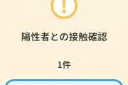 【質問】同居家族が陽性者接触通知来たから会社休もうと思ったんだけど