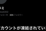 【話題】ライブ光害で有名な迷惑行為者のXアカウント凍結
