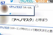 【悲報】「アベノマスク」いらない運動がコチラｗｗｗｗ