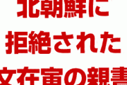 韓国パニック！　文在寅の親書が北朝鮮に拒絶される！　「韓国に行っても無意味」　完全に八方塞がりだな…