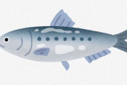 【悲報】　「イワシ」とかいうしょうもない魚、スーパーで場所を取り始める……