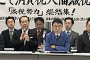 自民党　消費税５％減税を提言　選挙前アピールのいつものやつを披露