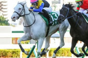 ソダシにつけたい種牡馬