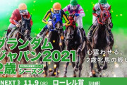 11/9(火) 川崎11R 第21回 ローレル賞(SⅡ) 発走20:10