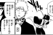 ブリーチの砕蜂のザコで無能だけど可愛いから許されている感