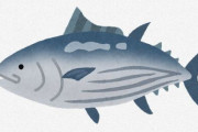 本物の魚好きが好む魚「アジ」「サバ」「イワシ」「カツオ」